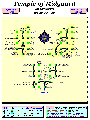 Avatar MUD Area Map - Temple of Midgaard.GIF